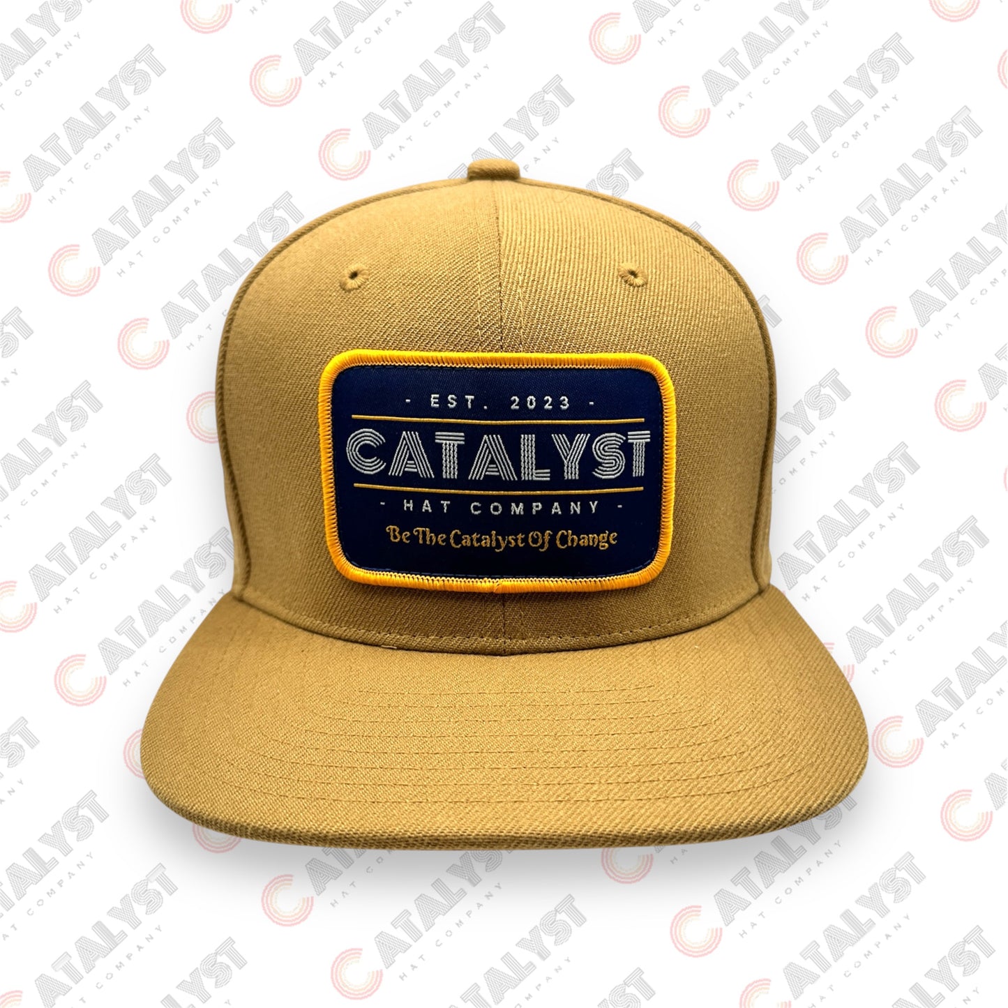 "Be The Catalyst Of Change" 6 Panel Snapback