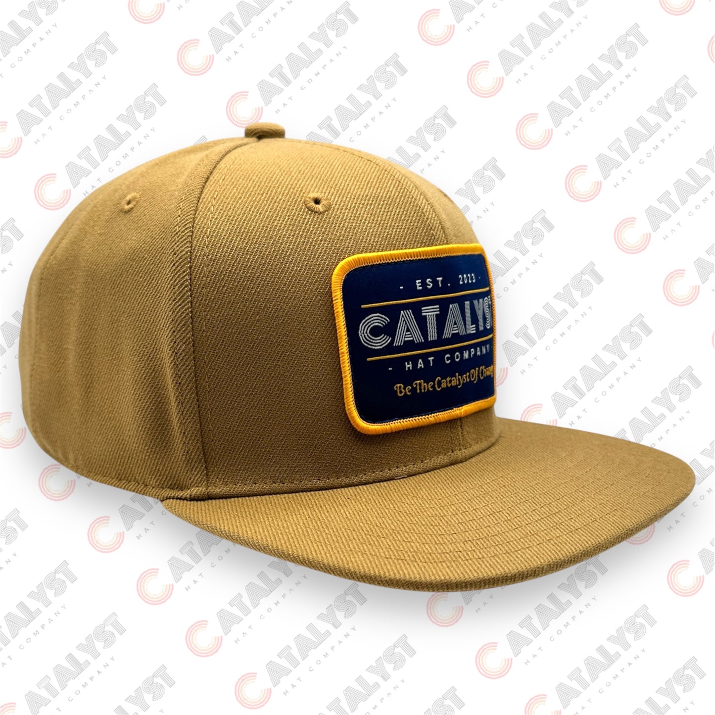 "Be The Catalyst Of Change" 6 Panel Snapback