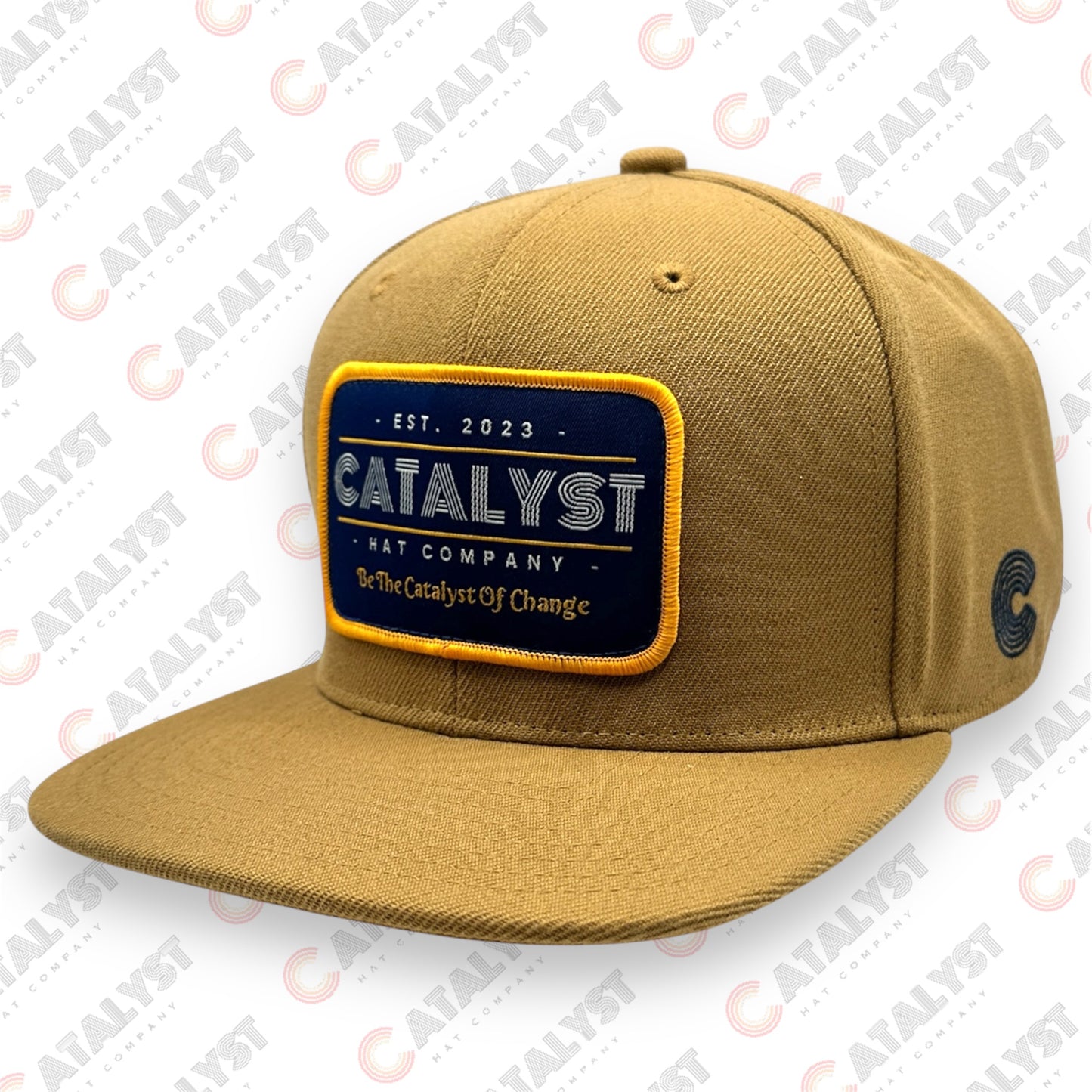 "Be The Catalyst Of Change" 6 Panel Snapback