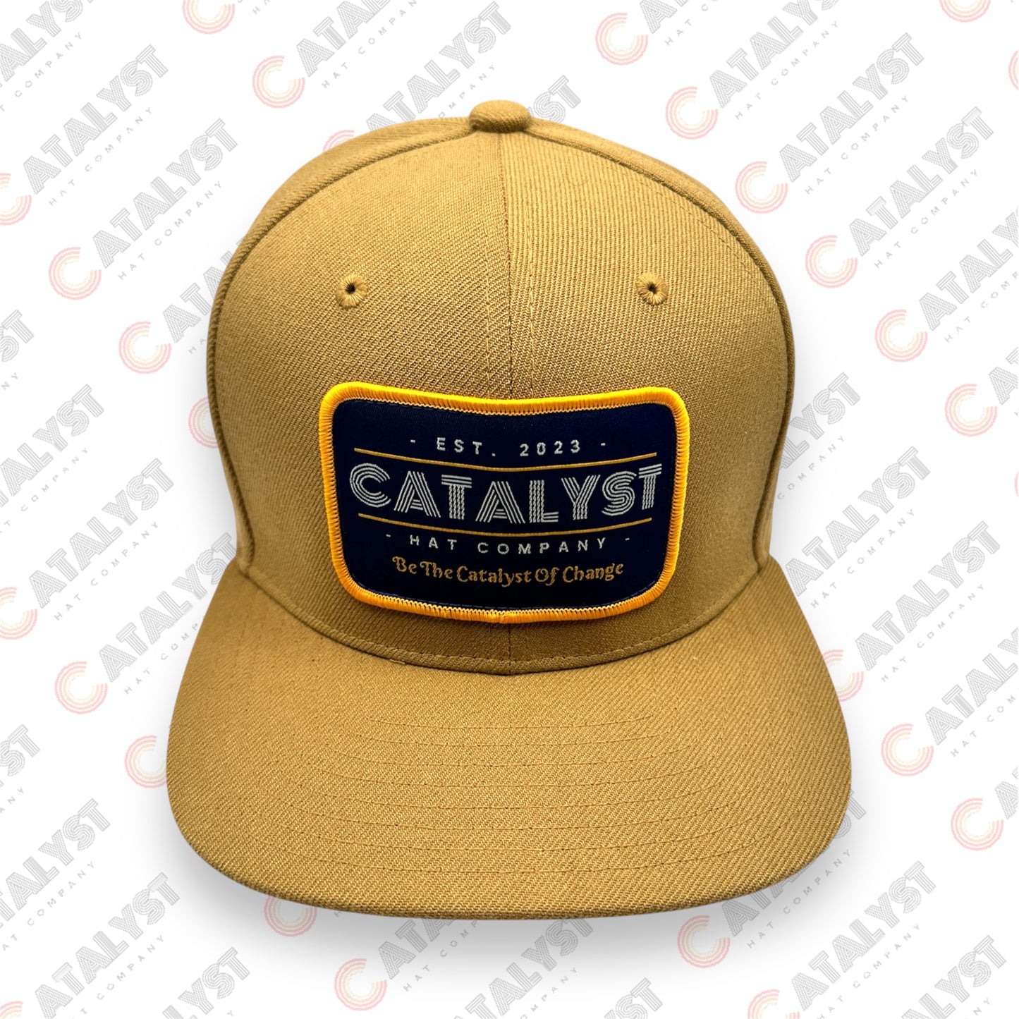 "Be The Catalyst Of Change" 6 Panel Snapback